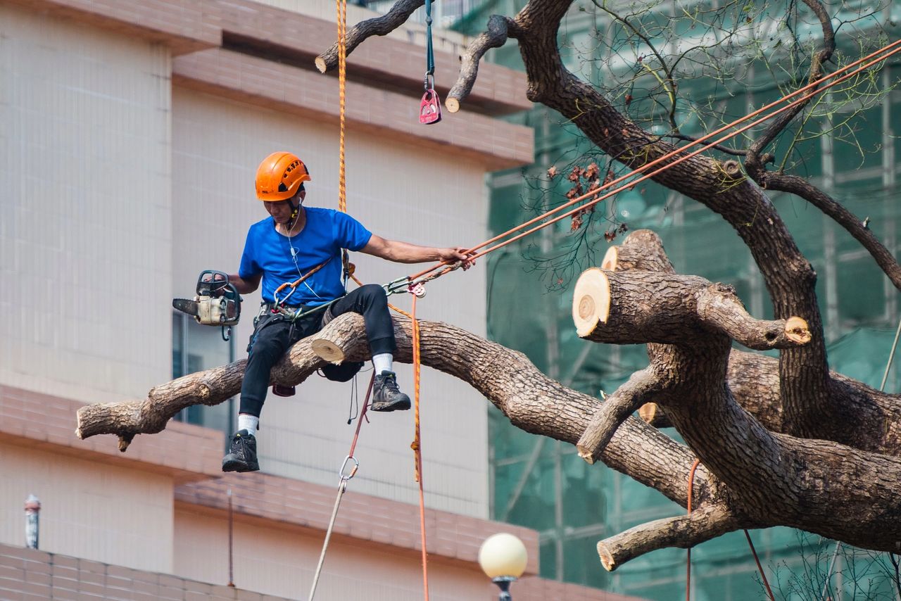 A new approach for a jobs policy for India
