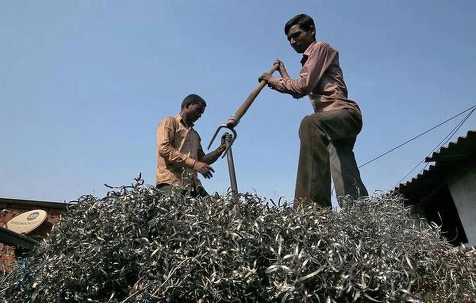 A New Economics for Inclusive Growth