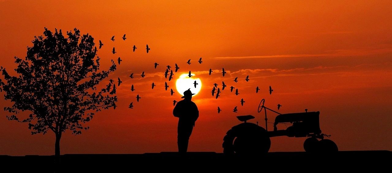 Farmers Incomes and Environmental Sustainability
